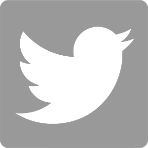Die GAV auf Twitter